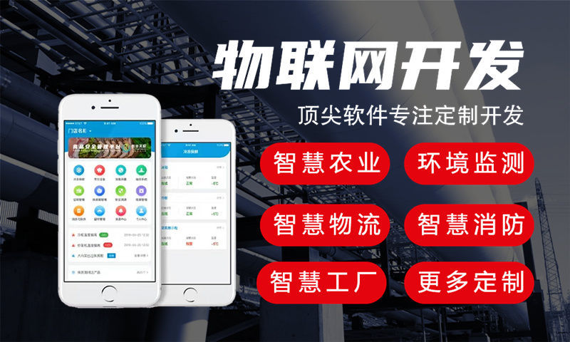 怎么找一家物联网项目定制开发公司