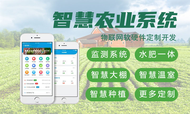 苏州物联网嵌入式系统定制开发一般用什么技术架构？