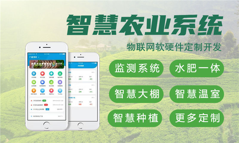 天津物联网与单片机开发技术详解及项目实施指南
