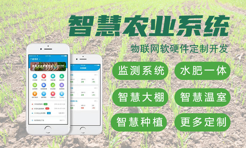 烟台水质检测与河道监测物联网系统的详细案例展示