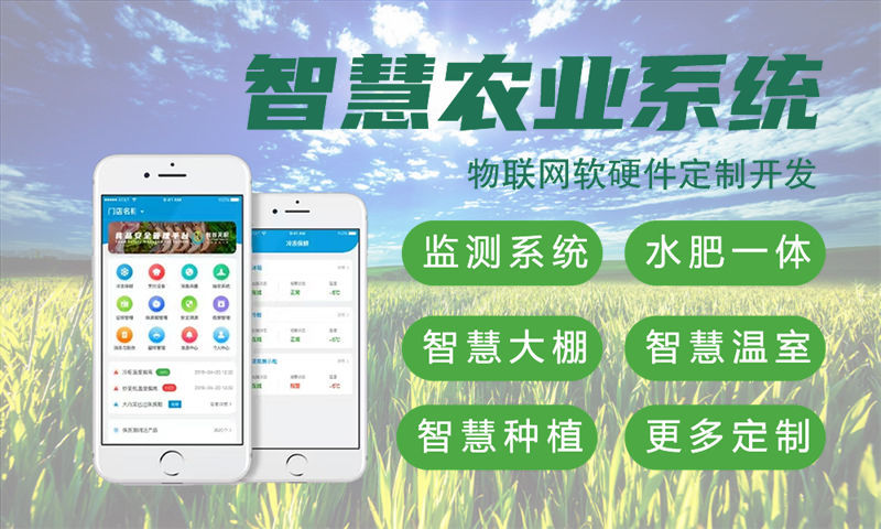 成都物联网与单片机开发详解:水质检测、油烟监测及其他智能系统