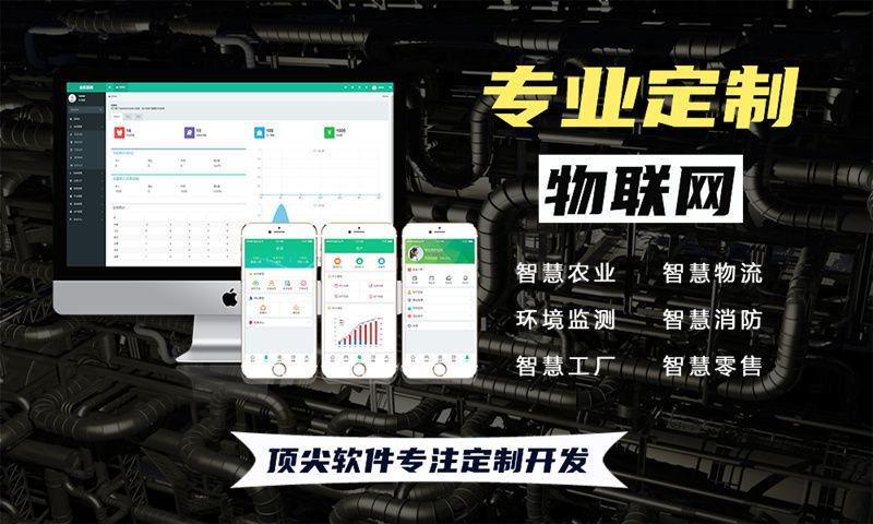 深圳物联网与单片机开发技术详解及项目实施指南