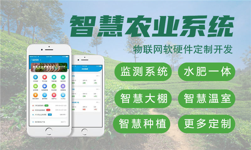 深圳物联网与单片机开发技术详解及项目规划