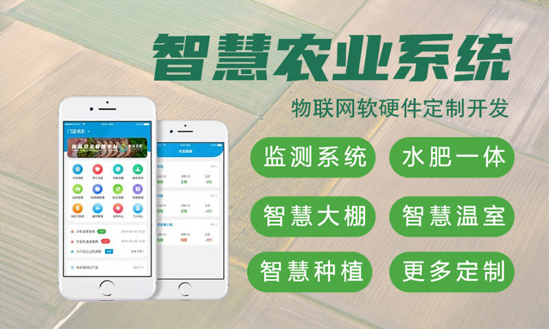 南京物联网与单片机开发技术详解及项目实施建议