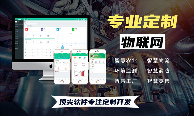 上海物联网和单片机开发技术详解与项目规划