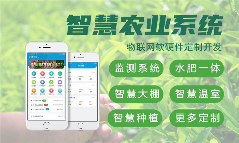 上海物联网与单片机开发技术详解
