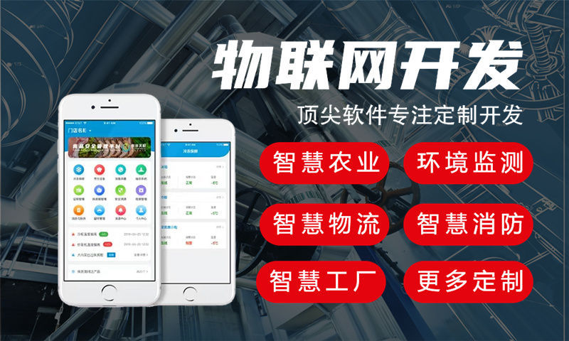 武汉物联网与单片机开发技术详解及项目实施指南