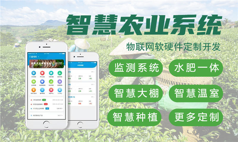 西安物联网及单片机开发技术详解与项目规划指导