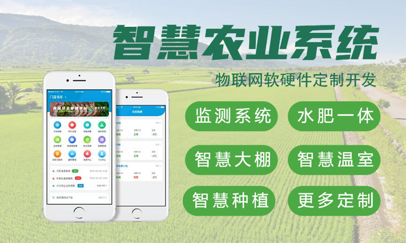长沙物联网与单片机开发技术详解及项目规划