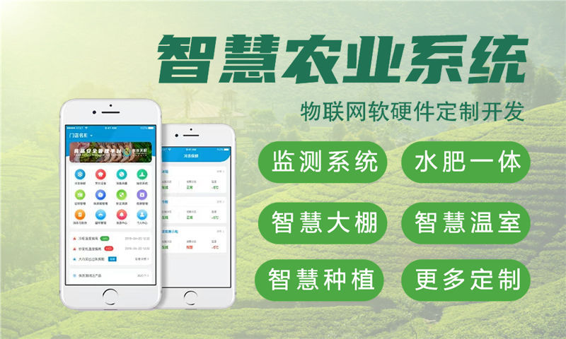 济南物联网与单片机开发技术详解及项目规划