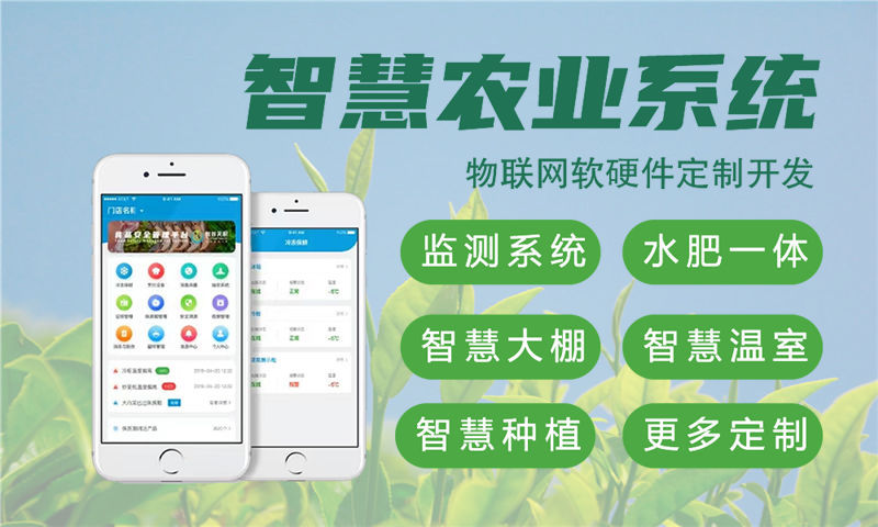 成都物联网与单片机开发技术详解及项目实施策略
