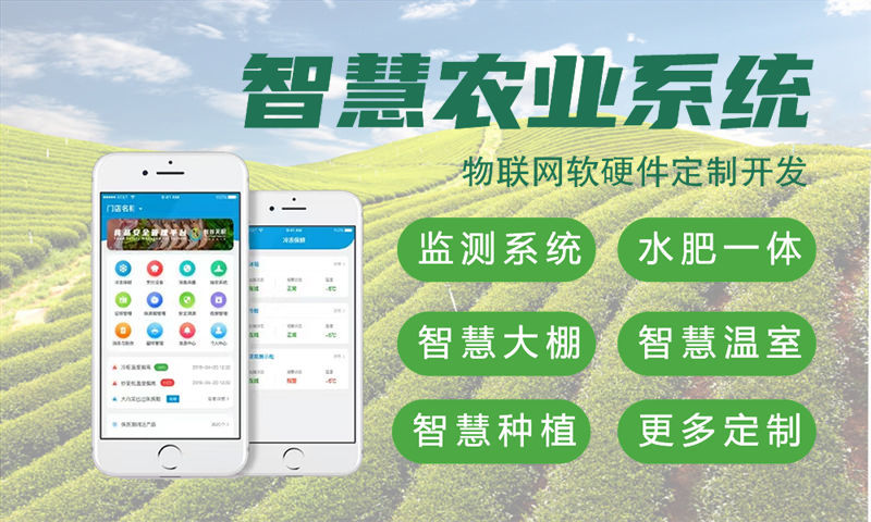 天津智能水质检测物联网系统的研发与应用