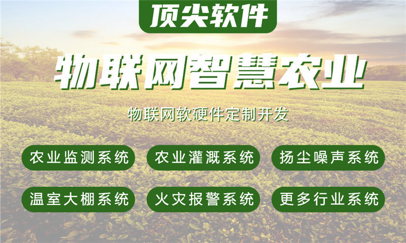 南京物联网与单片机开发技术详解及项目实施指导