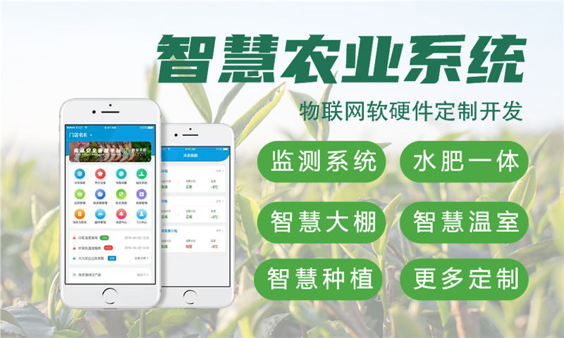 郑州物联网与单片机开发技术详解及项目实施指导