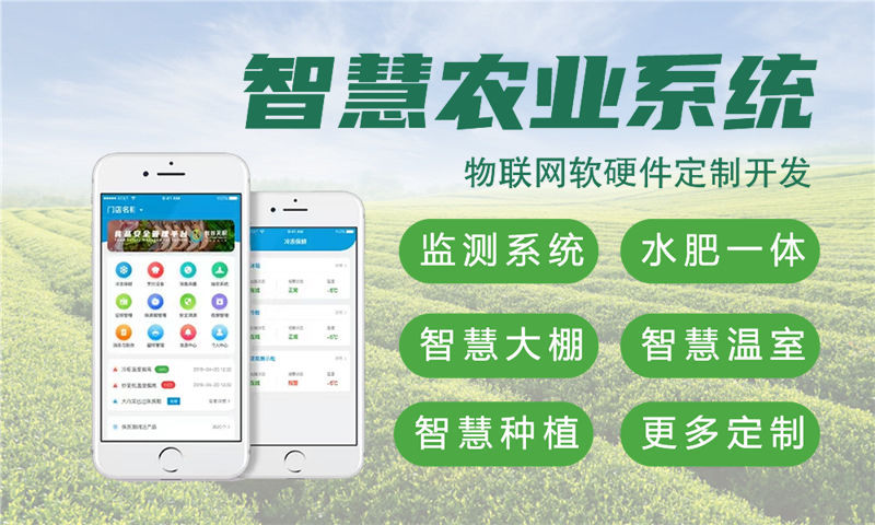 杭州物联网与单片机开发技术详解及项目实施建议