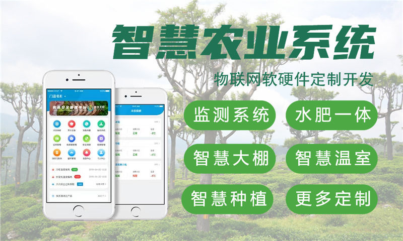 郑州物联网与单片机开发技术详解及项目建议