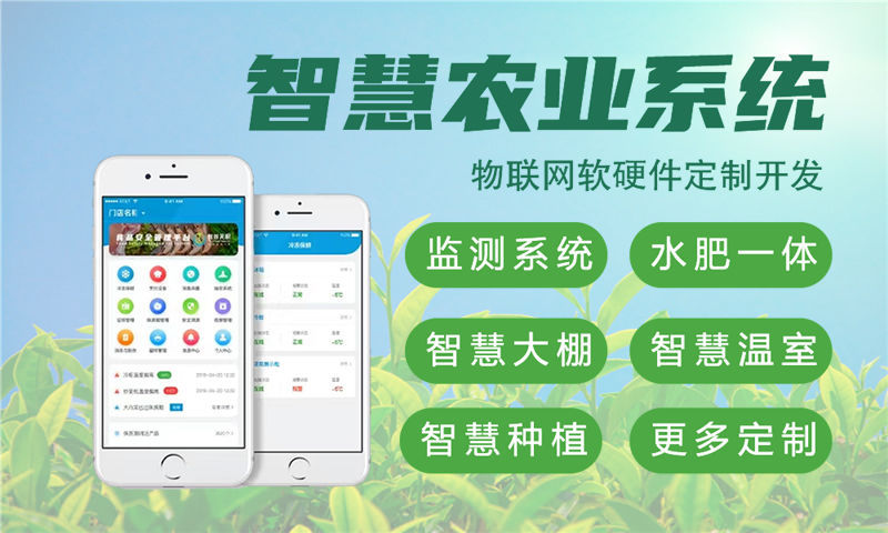 杭州物联网与单片机开发技术详解及项目规划指南