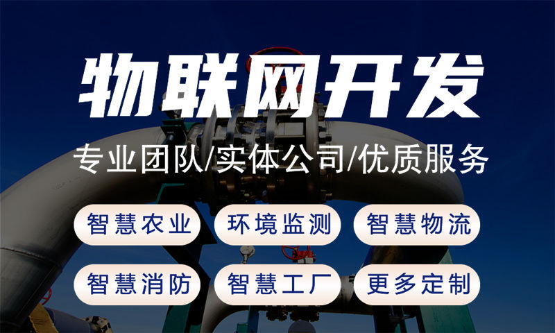武汉物联网与单片机开发技术详解及项目实施指南