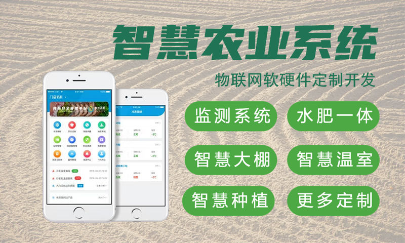 上海物联网与单片机开发技术详解及项目实施建议
