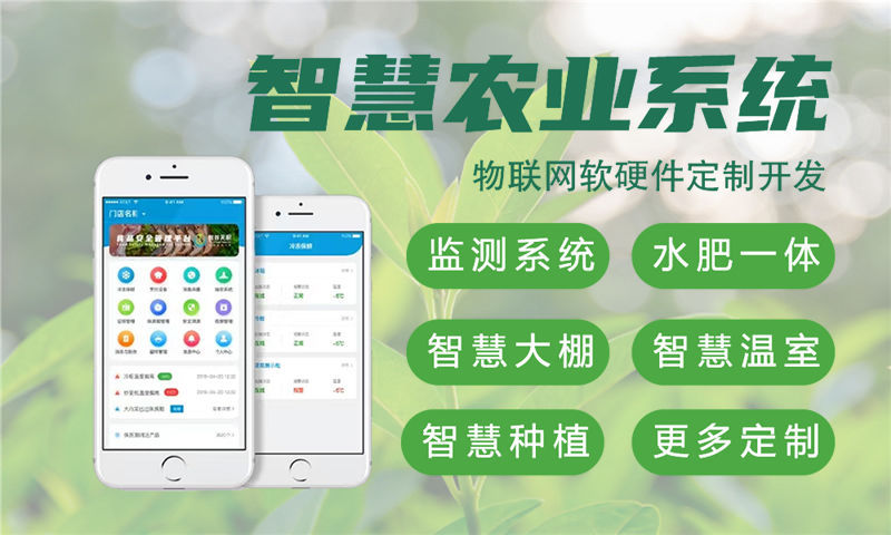 苏州物联网系统开发案例展示：多场景智能检测系统的功能模块与技术实现详解