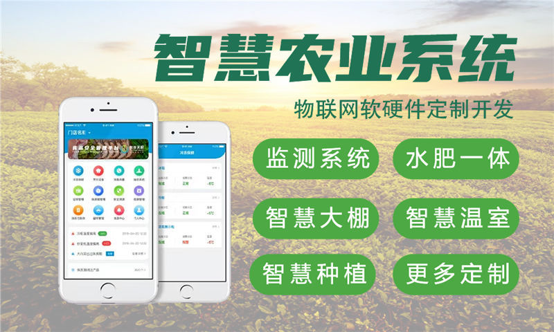 泉州物联网单片机开发解决方案：基于STM32与ESP32的智能水质检测系统设计与实施计划