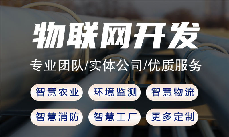 深圳物联网系统开发案例展示:多场景智能监测系统的功能模块与技术实现详解