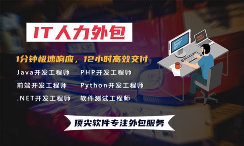 上海公司程序员驻场服务:破解技术人才短缺难题的高效解决方案
